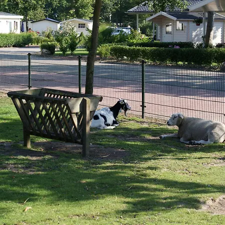 Holiday Droompark Molengroet.10 Дом отдыха